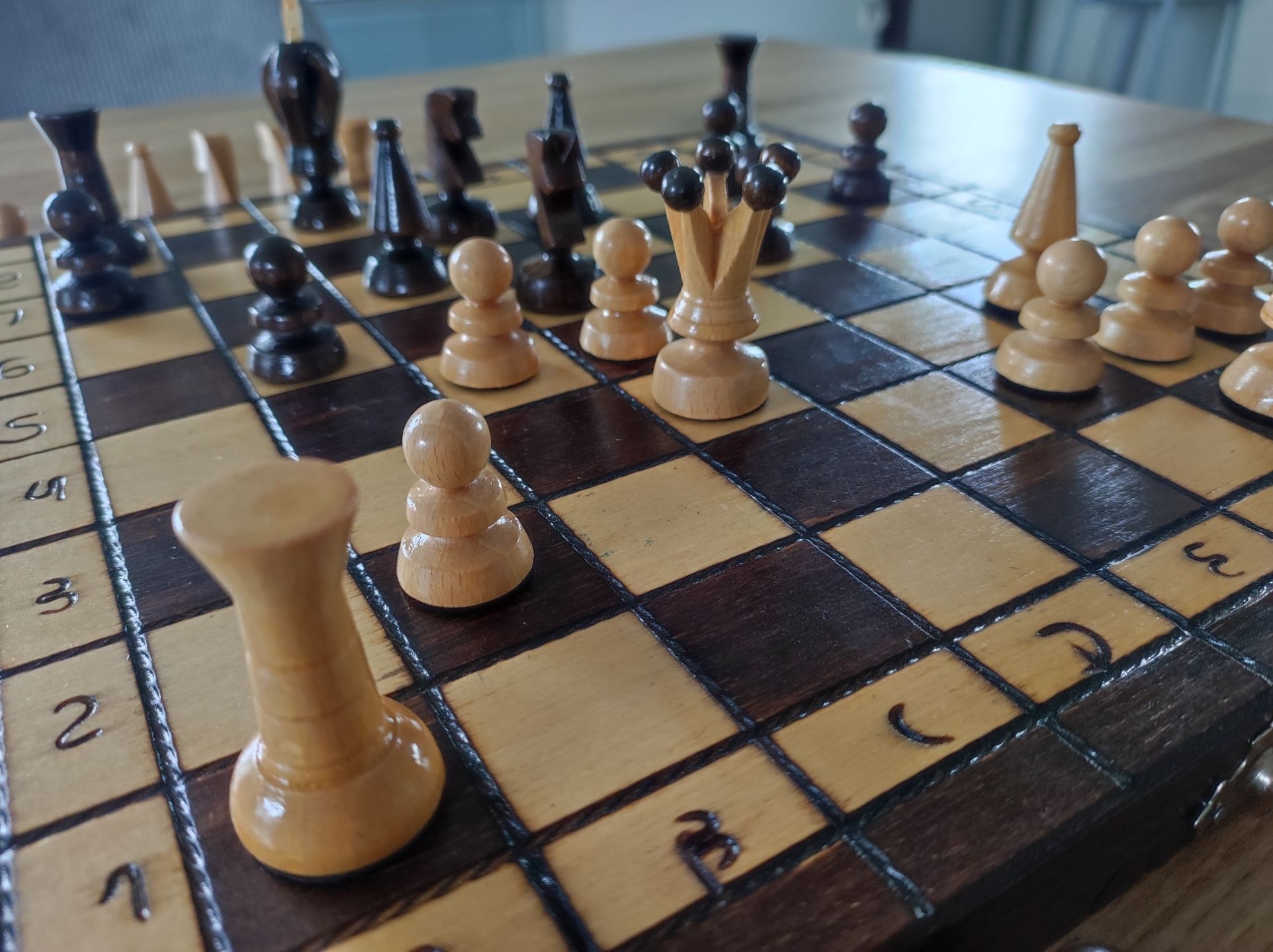 Le chessboxing : discipline alliant intellect, force et ténacité